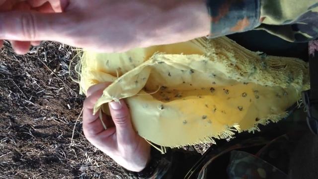 Отстрел картечью 00 ,полумагнум броне панели.