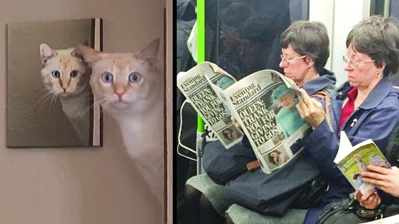 96728358d97a46bab670ca926e0d379d