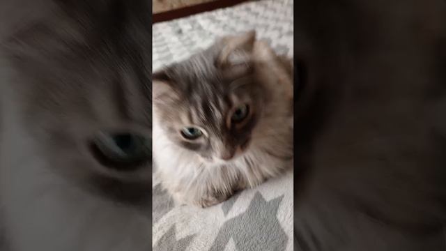 261035db908579130cb62e5eaa9d73d3