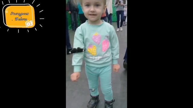 экскурсия. Бабочки