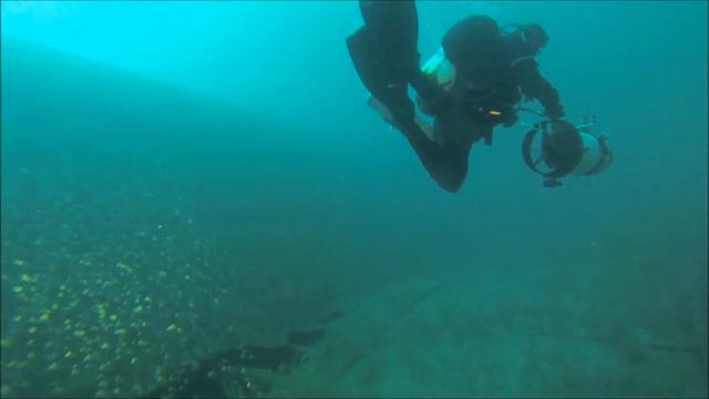 Lancing Shipwreck Scooter Dive W/ Capt JT- UnderPressure Dive Charters