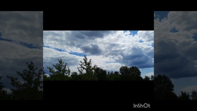 прикол юмор музыка