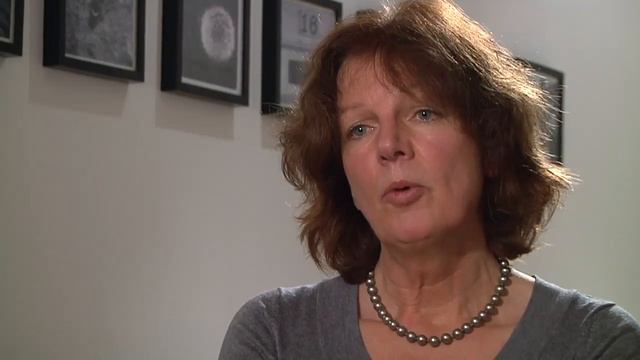 Genetically Modified Petunias: Results