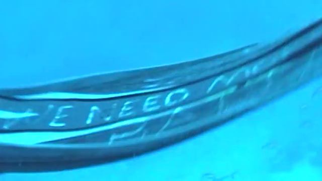 Подводные приключения на Фиджи. Часть 1.