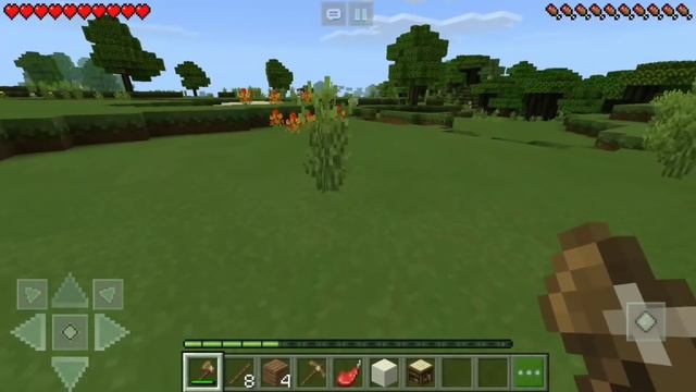 D96cefcf8ef59d3b822abd21b5450800