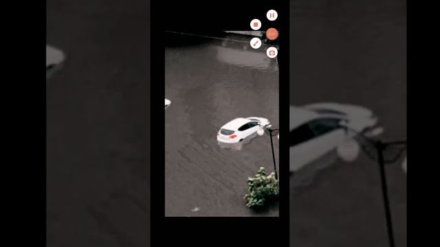 42f44d2cfc76ec51243abb255d9c7cd2