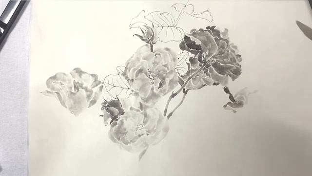 水墨画/白描画:Japanese Ink Painting/Suibokuga/Sumie      #31 Eustoma, Leaf