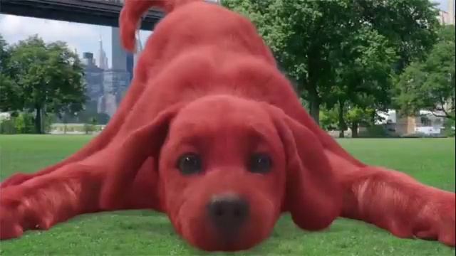 Clifford The Big Red Dog Full Movie Review  Darby Camp  Jack Whitehall
