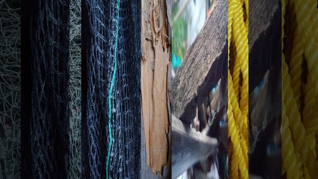 Health Know Perfect Team To