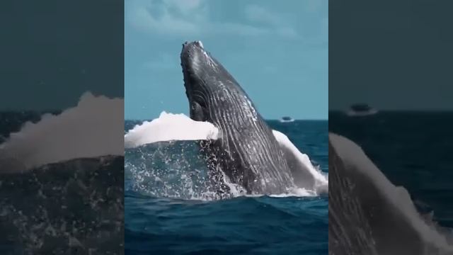 3c820d9da7003bf941c4877c312c9fbf