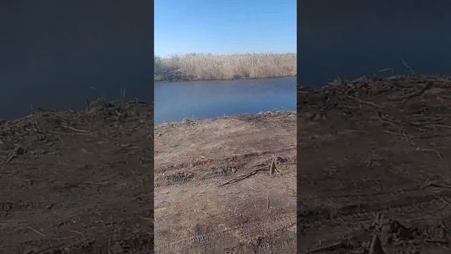 удочка король рыбалки