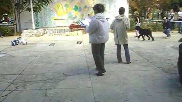 РОМАН-КОШ ДЮЛЬБЕР