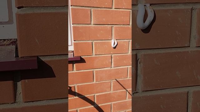 Дом из керамзитобетона, утепляем пеноизолом. Termopena.ru