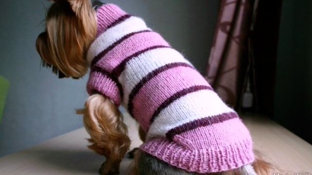 Вязание спицами для маленьких собачек.В наличии и на заказ. Мурманск.