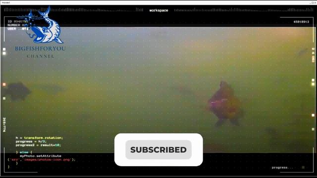 EYOYO EF43A 20M Fish Finder Underwater Ice Fishing Camera