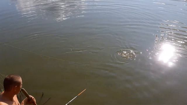 Путешествия души