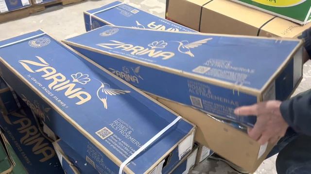 Наш оптовый склад цветов