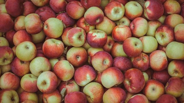 Дом и Садовые Уроки