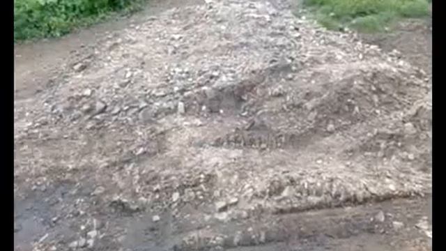 Мусорные завалы во дворе дома сняла на камеру читинка