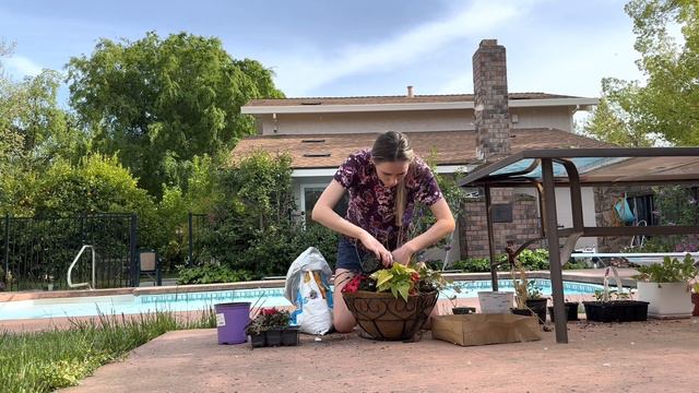 How To Create A Hanging Basket! (+ Keep It Hydrated!)