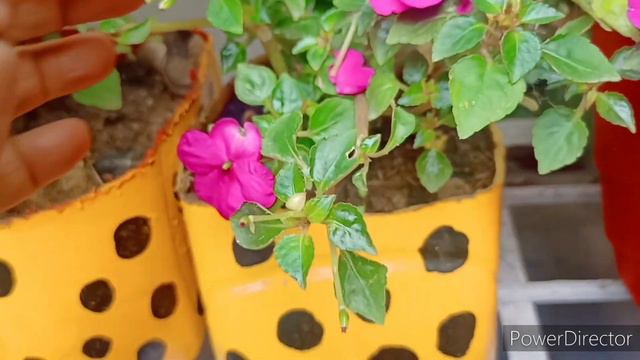 0451e68019e78f850380a0b29a48fe36