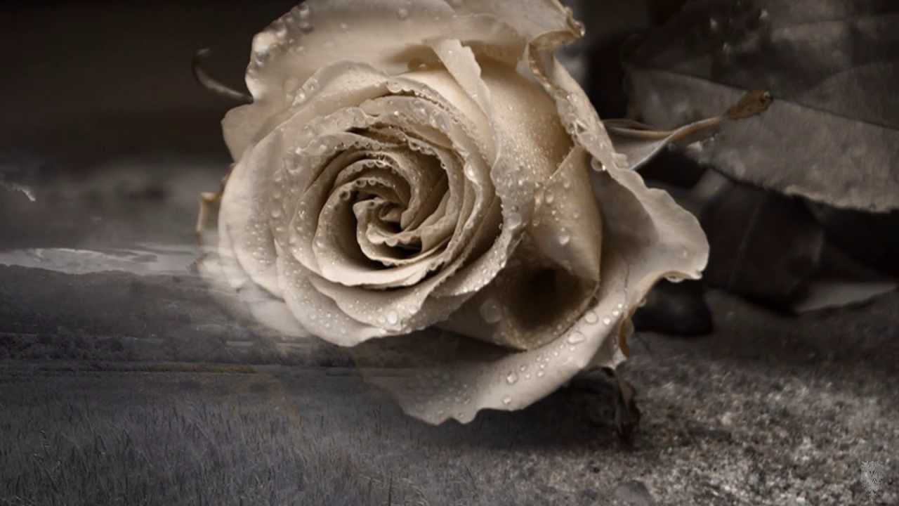 LUNA, ALESSANDRO SAFINA