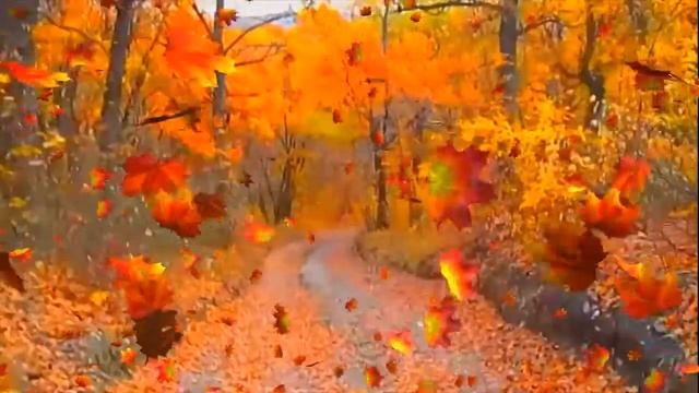 0521da78ba8119e886748baf435f54ba