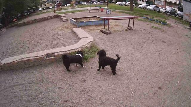 Денис Дорохов в любой непонятной ситуации