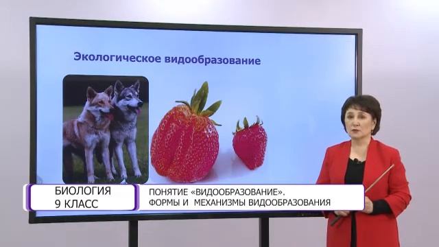 Биология. 9 класс. Понятие Видообразование. Формы и механизмы видообразования 21.05.2021