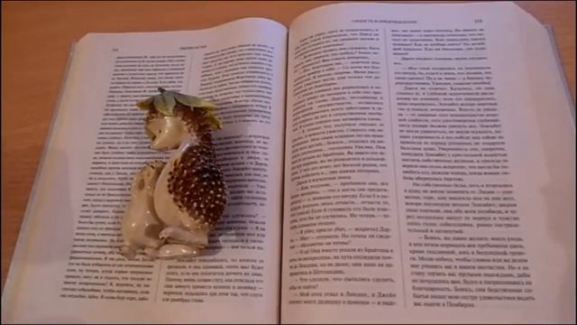 №17.Вышиваем под чтение.Д.Остин 