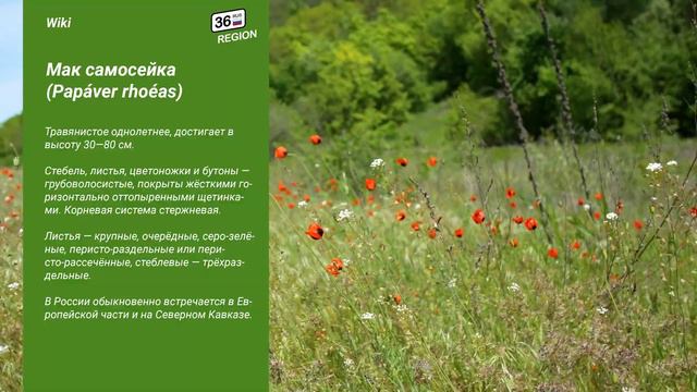 3233d72ff9b41a2a6f167751268a5c66