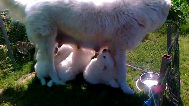 02a282877aa19ddb314dc82b04b808c3