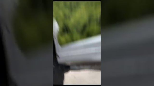 Сладкая слава