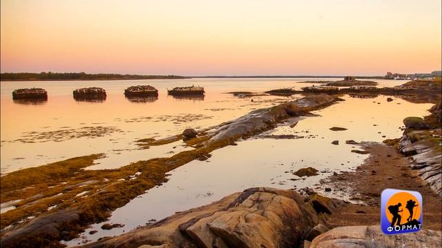 B29ea01381d0957ea89dece6db6c6c31