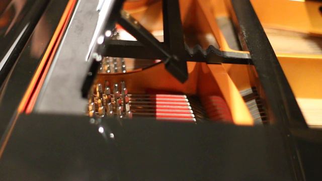 Shape Of You - Ed Sheeran (Costa Rica's New Orchestra Trio Cover)