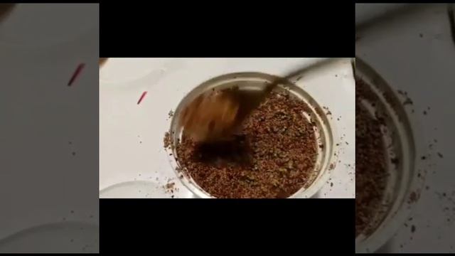 D5e7263737b1b2454c1331182e627360