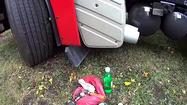 Типичный Ali.