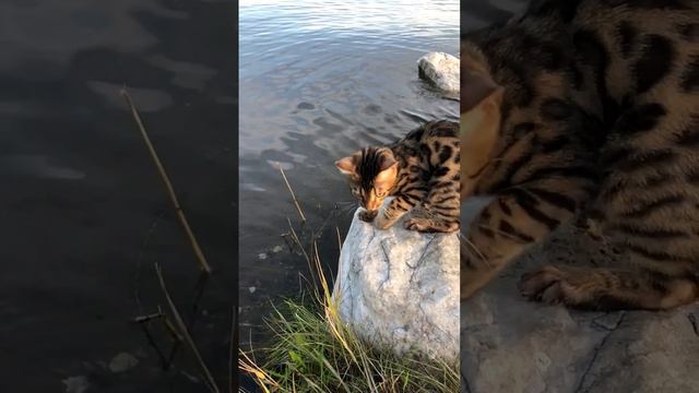 7f3ba2c10d68f4abab4505bd7617d673