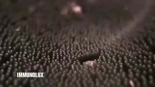 Cfdb6028262cea3fc118f9695241ac79