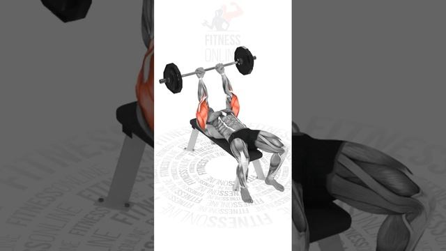 Французский жим лежа/French bench press