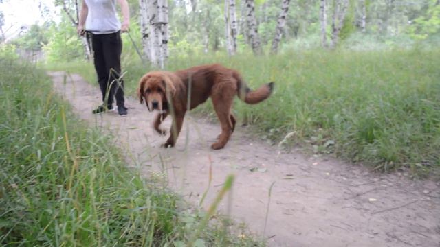 E630d88fcd94fc92201549c19f4f08ec