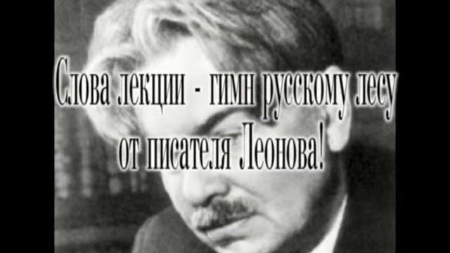 Русский лес