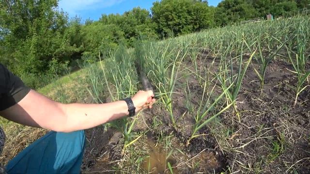 Система полива и орошения 