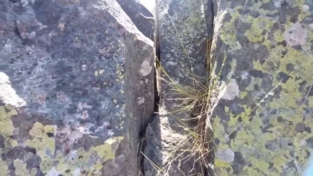 ‼️Полигональная Хатусса: гранитные откровения. Обобщение от августа-2022