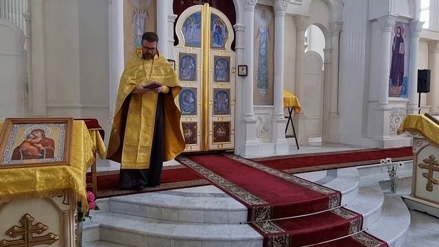 Новая жизнь