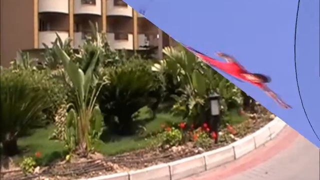 ОТДЫХ В ТУРЦИИ (Turkey Tours) . ВИДЕОРОЛИК О ЛУЧШИХ ОТЕЛЯХ, ЦЕНЫ ТУРОВ.