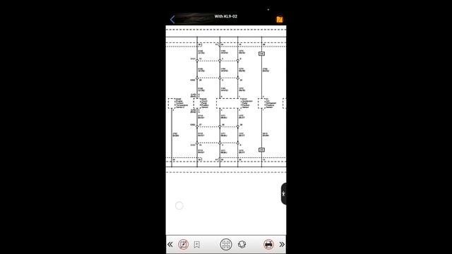 Воздух и здоровье: гармония и баланс
