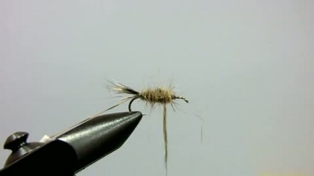 A333024d477481862a2f88e4f5294ad4