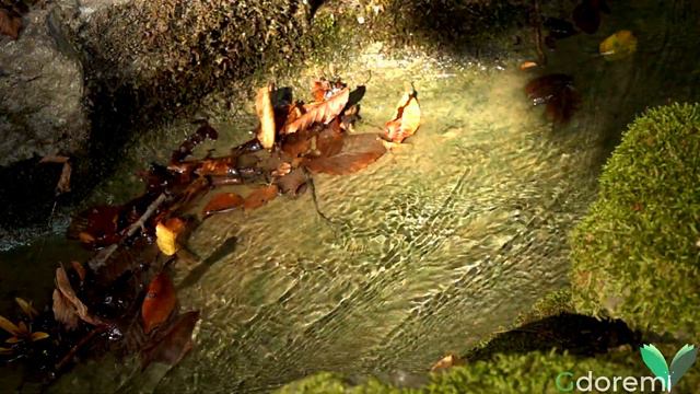 600bdf339630a9aa5f7b9dd962883710