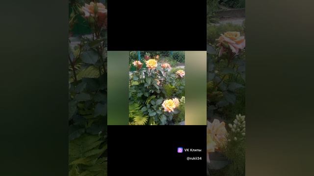 Реклама для вас, ссылка вконтакте 🔗 Https://vk.com/rukii34